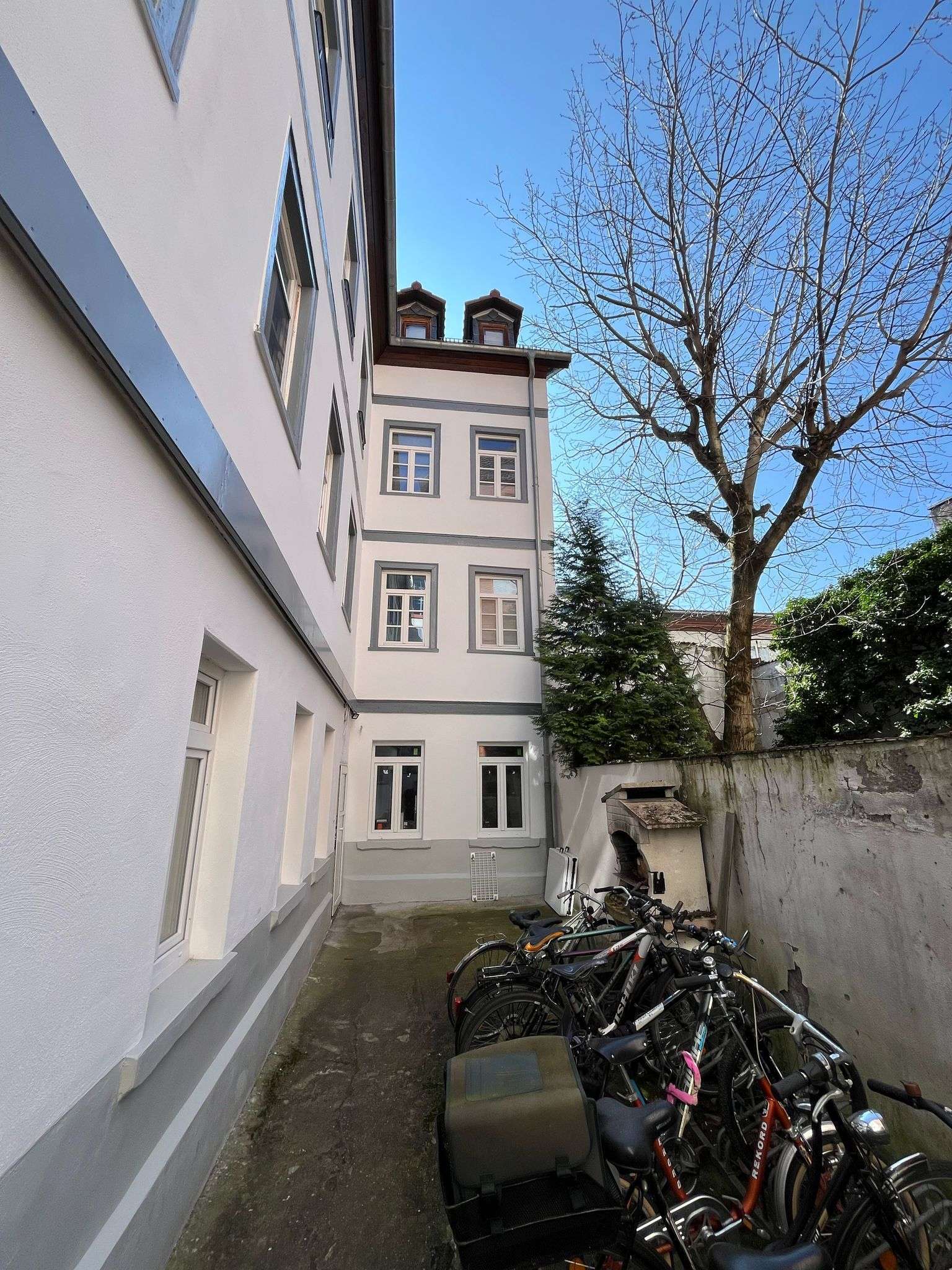 Top Kapitalanlage in der Altstadt 10 Wohneinheiten und 1 Gastro – 55116 Mainz, 55116 Mainz – Vorschaubild 2