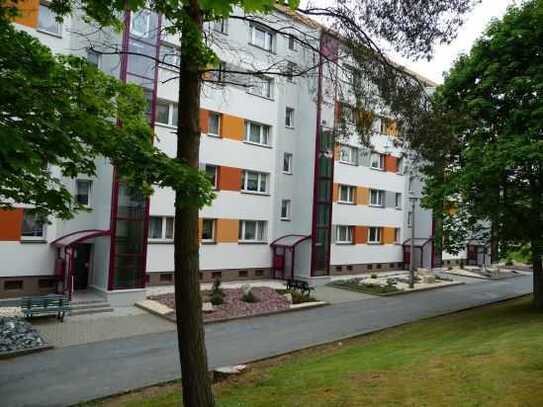 renovierte 3-Raum Wohnung mit Balkon
