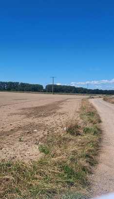 Bauerwartungsland Sondernheim