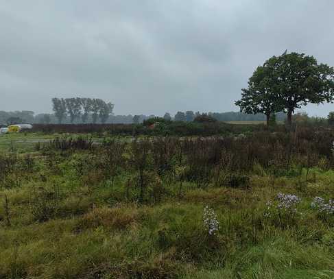 Baugrundstück in Naturlage