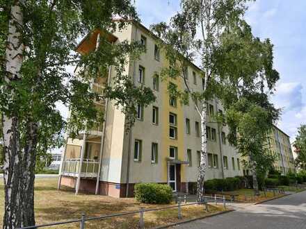 Frisch sanierte 3-Zimmerwohnung