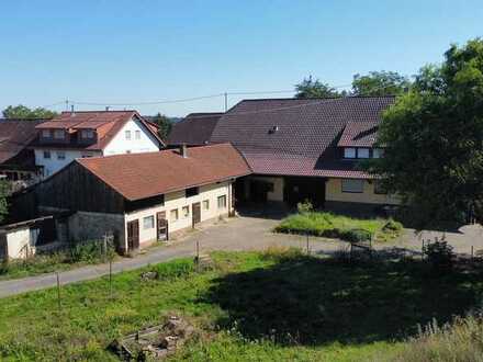 Schöne große Wohnung in einem Haus auf einem Aussiedlerhof inclusive 1000 Quadratmeter Garten