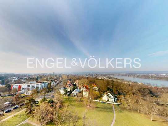 Traumblick über den Rhein von der Oberstadt bis nach Weisenau