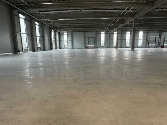 ** Ca. 8.500 m² Lagerfläche | 13,00 m UKB | 4 x ebenerdig, 5 x Rampe **