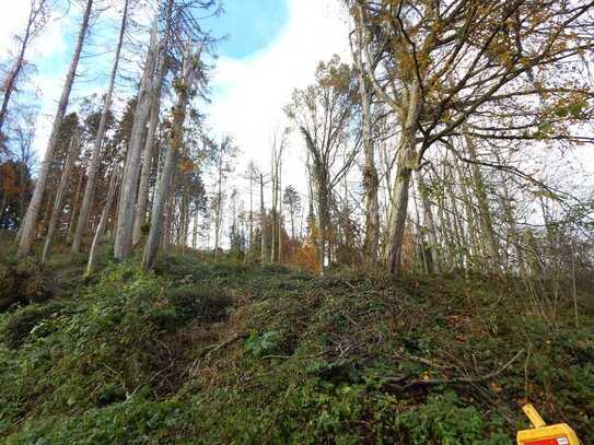 Waldgrundstück mit ca. 7.408 m² in 83454 Anger - Ortsteil Vachenlueg