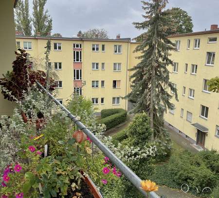 Ruhig gelegene DG-Wohnung mit Parkplatz vor der Tür + kurzem Weg zum Wasser