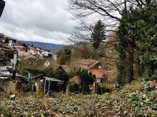 Flaches Grundstück mit seitlichem Traumblick in Eberbach