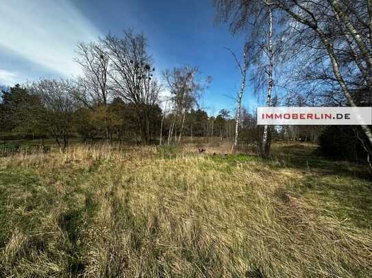 IMMOBERLIN.DE - Großes Wiesen-/Freizeitgrundstück mit Umwidmungspotential für Bauland