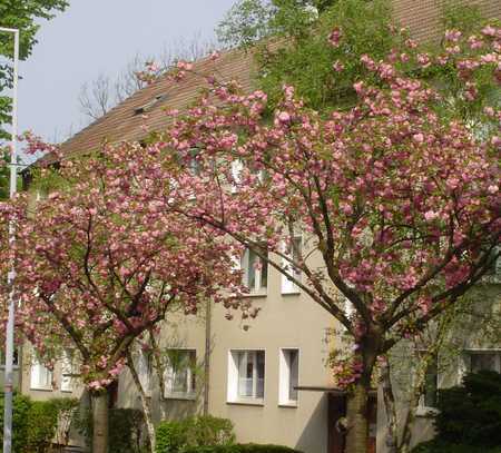 Schöne 3 Zimmer-Wohnung mit Balkon in Mülheim Speldorf / Saarn