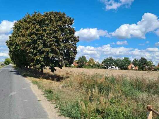 Wohnen in Dahme/Mark "Südlicher Scheunenfeldweg / Breite Wiesenweg