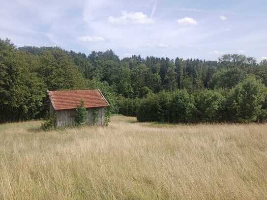 Naturidyll mit Freizeitwert - 2,1 ha Wald, Wiese, Biotop