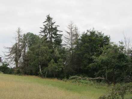 0,8610 ha Forstwirtschaftsfläche in Gemarkung Allrode; Mindestgebot: 4.300,00 €; Exposee beachten!!