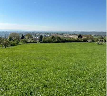 * GRÜNLAND WIESE IN ESSLINGEN: ca. 808 qm * Gewann Holzwiese * frei ab sofort! *