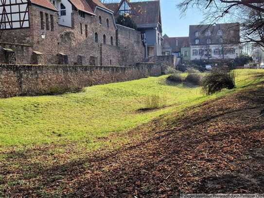 Hübsche Wohnung in Altstadt von Ladenburg - 203932