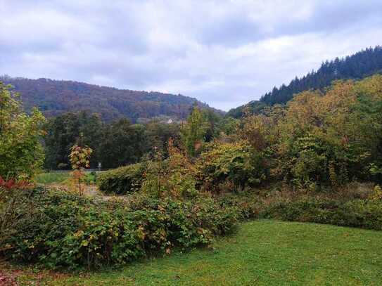 Baugrundstück in Badenweiler - Mehrfamilienhaus mit 9 Wohneinheiten umsetzbar!