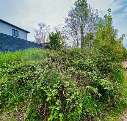 BAULÜCKE MIT TRAUMHAFTEM AUSBLICK ÜBER DÄCHER & WÄLDER IN GEHOBENER WOHNLAGE VON 67691 HOCHSPEYER