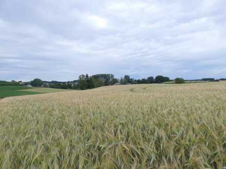 Gemeinde Hilgertshausen-Tandern 2 Landwirtschaftliche Grundstücke arrondiert, Ortsrandlage