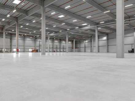 "BAUMÜLLER & CO." - ca. 30.000 m² Hallenfläche - Anmietung von Teilflächen möglich!