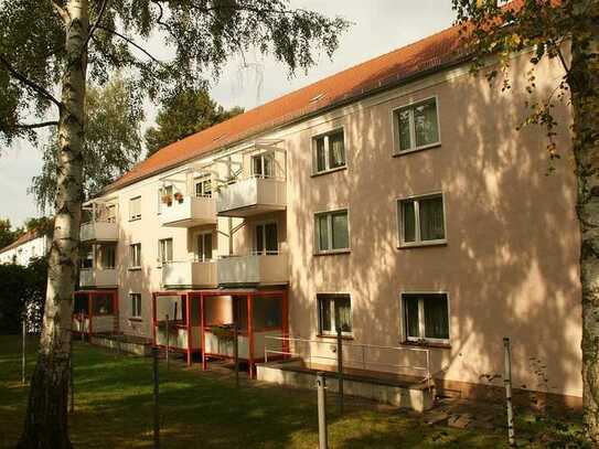 Neu sanierte Wohnung in Schwanenteich-Nähe