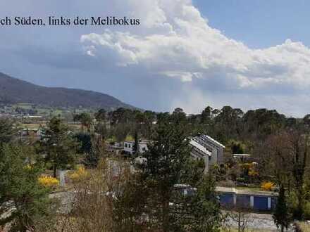 Bickenbach, modernisierte EW, 2-Zr, 72qm, Südseite mit Weitblick