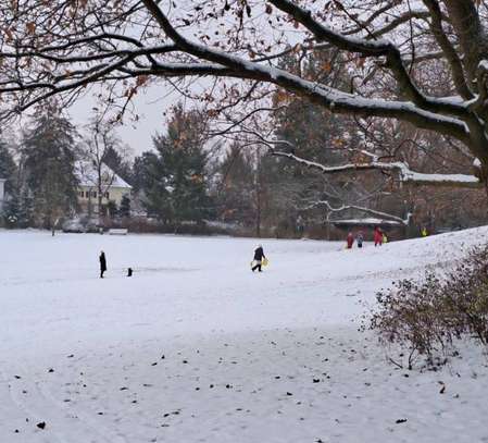 Traumhafte Villenlage direkt am Park!