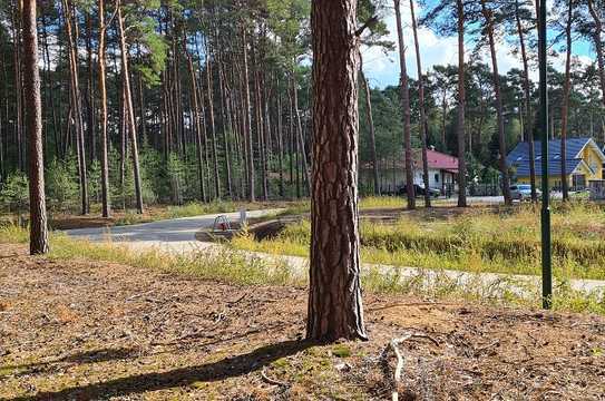 gemütliches Sonnengrundstück Grundstück mit netten Nachbarn in Borkwalde.