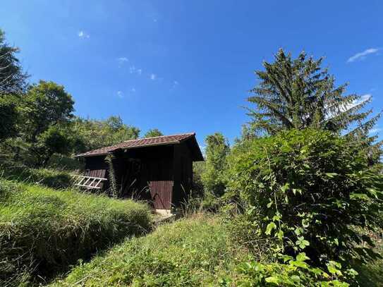 Garten mit 312 qm in Halbhöhenlage in S-Wangen * genehmigtes Häuschen * ca. 70m Fußweg zum GrdSt.