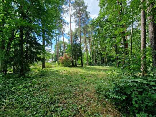 Naturbelassenes idyllisch und ruhig gelegenes Grundstück in Eggersdorf in Seenähe