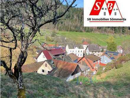 Wo andere Urlaub machen! 1 bis 2 Familienhaus in Geroldsau/Baden Baden sucht netten neuen Eigentümer