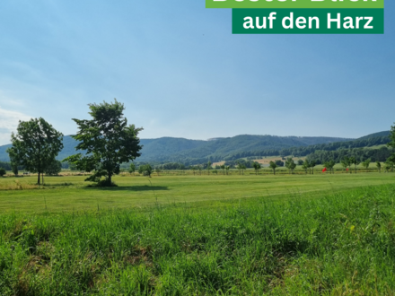 Bauträgerfrei - Grundstück in Bad Harzburg - Westerode