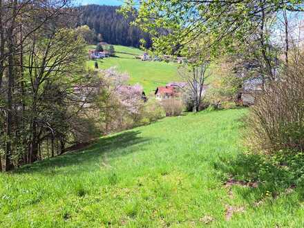 Großes Baugrundstück in sonniger Aussichtslage in Baiersbronn-Tonbach