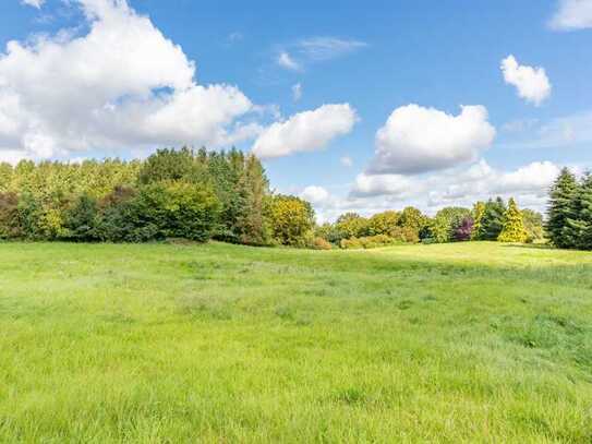 Ein schönes Grundstück und eine Wiese, um Ihre Träume zu verwirklichen