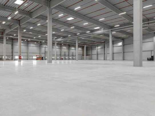 "BAUMÜLLER & CO." - ca. 15.000 m² Hallenfläche - NEUBAU - Anmietung von Teilflächen möglich !