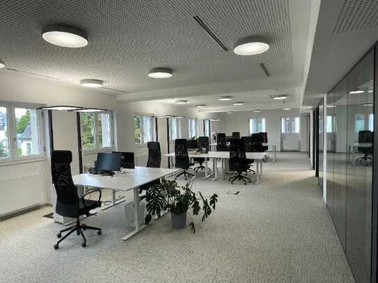 Frisch modernisiertes Open Floor Büro im Villenviertel - All-in-Miete