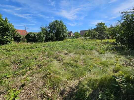 großzügiges Traumgrundstück in Linkenheim