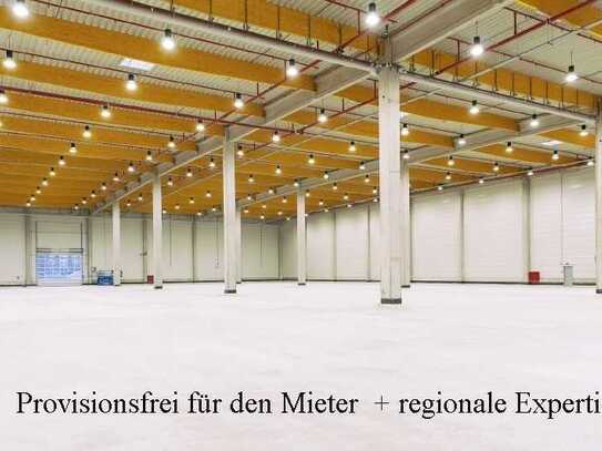 PROVISIONSFREI + regionale Expertise: 13.982 m2 Logistikhalle zu vermieten