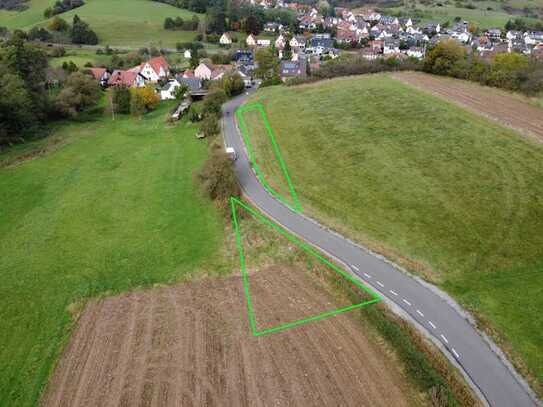 DIETZ: Schönes Wiesengrundstück mit kleinem Ackerlandanteil ca 200m von Straßbessenbach entfernt!