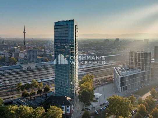 Hoch über Mannheim - Victoria Turm!