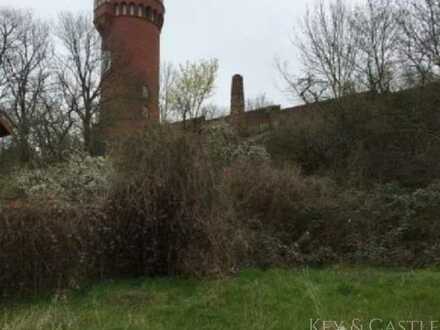 Grundstück für Wohnbebauung mitten in Burg