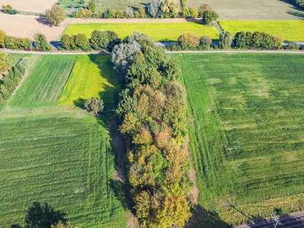 Landwirtschaftsfläche