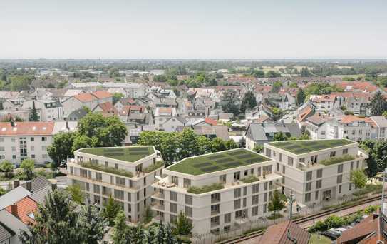 Penthouse-Panorama: 3-Zimmer mit Blick in die Pfalz (WE 43)