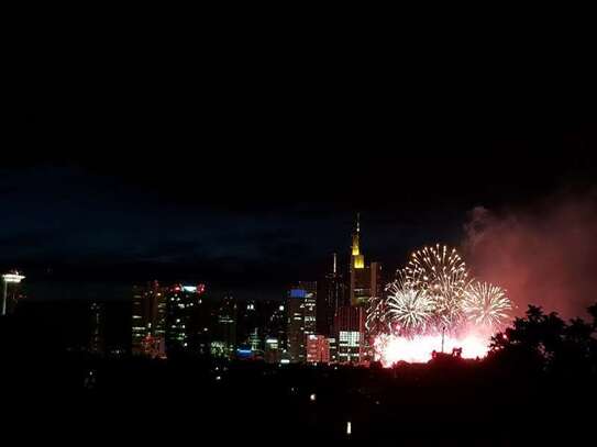 Penthouse mit vielen Highlights: Skyline-Blick, riesige Terrasse, Wintergarten u.v.m.