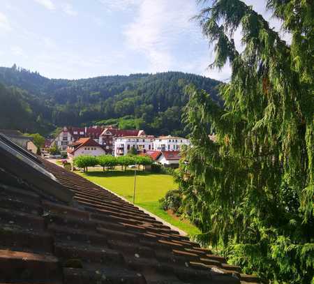 ***Kapitalanlage im Breisgau***