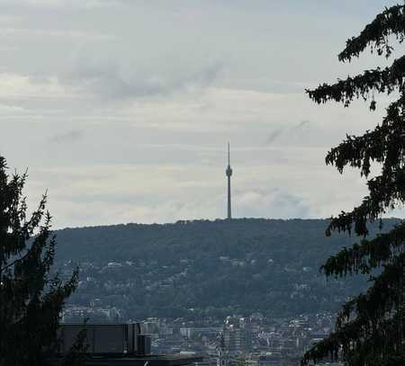 Exklsusive Mietwohnung im EG mit Küche, TG Stellplatz und traumhafter Aussicht in Stuttgart-Nord.