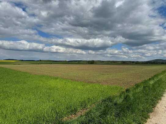 IN BAYERN SELTEN: Ackerfläche 4,5 ha mit sehr guter Bonität