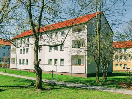 2-Zimmer-Wohnung in ruhiger Lage