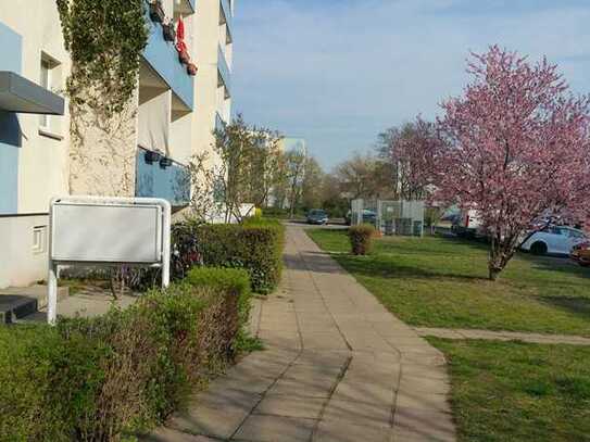 Ihr Rückzugsort: 2-Zimmer-Wohnung mit Wohlfühlatmosphäre