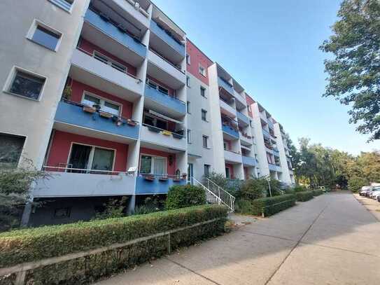 Gemütliche 4 Z-Wohnung in Stahnsdorf