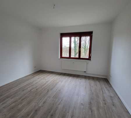 Wohnen nahe der Elbe - helle 2-Raum Wohnung sucht neue Mieter