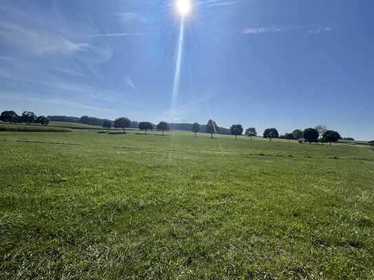 Großzügige landwirtschaftliche Fläche mit guten Zufahrtsmöglichkeiten Nähe Weilenbach!